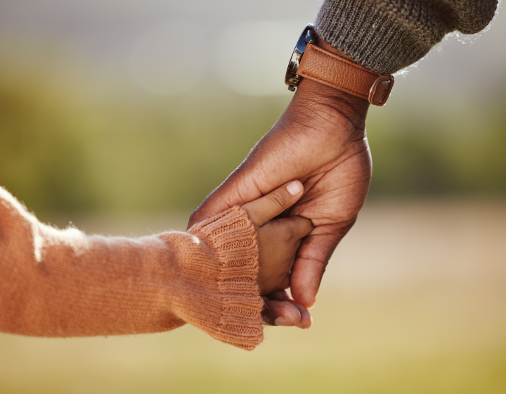 Online Reporter portal